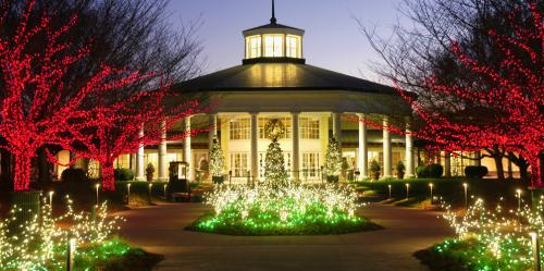 this image shows Christmas lights in Carmichael, CA