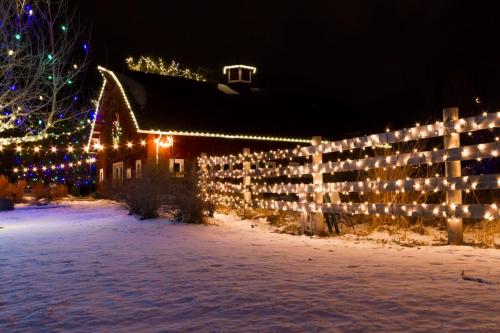 this image shows fence christmas lights in Carmichael, CA