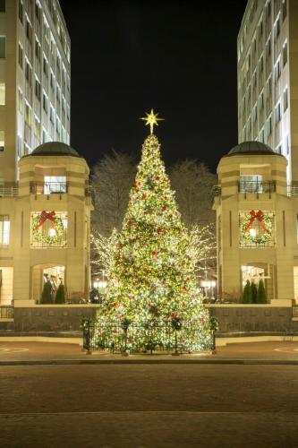 this image shows commercial Christmas tree lights in El Dorado Hills, CA