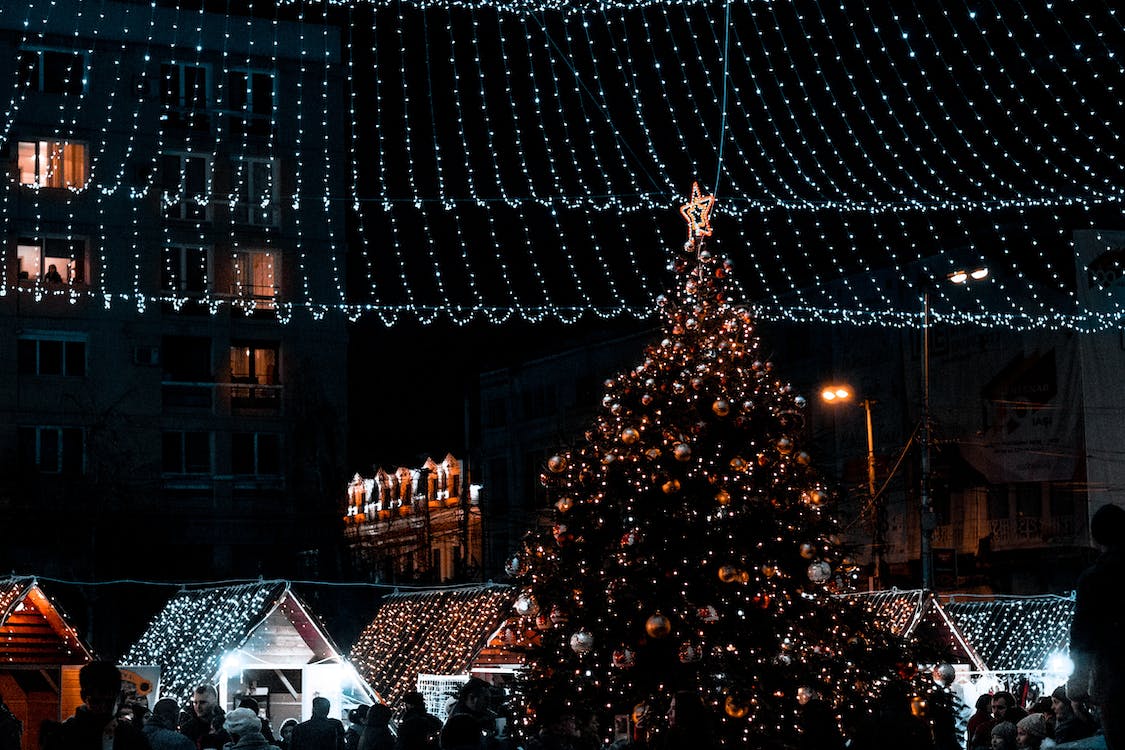 Carmichael-CA-tree-Christmas-lights this image shows tree Christmas lights in Carmichael, CA