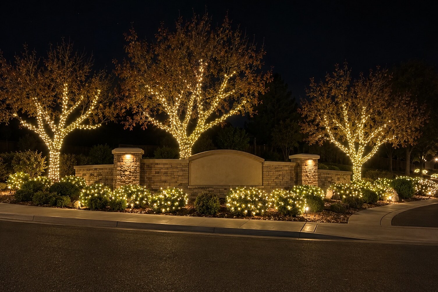 Christmas light hanging in Carmichael, CA: hoa entrance monument tree wraps warm white