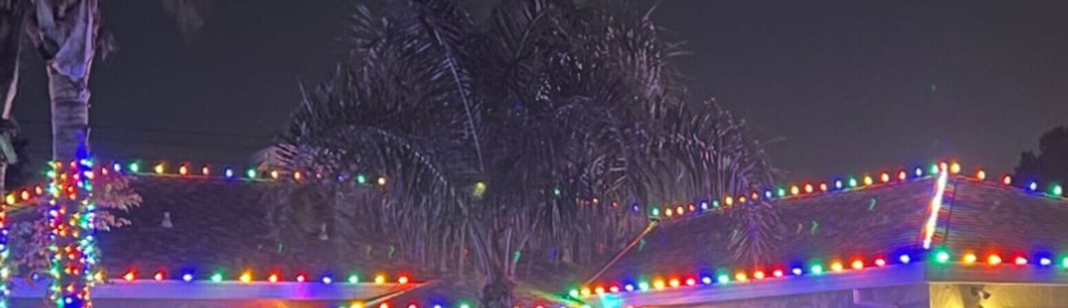 Holiday light installation in Carmichael, CA: multicolor c9 eave run palm wrap